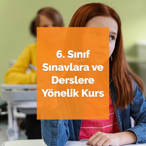 6. Sınıf Sınavlara ve Derslere Yönelik Kurs