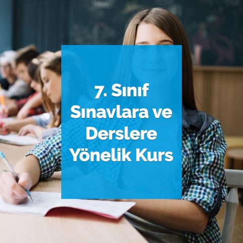 7. Sınıf Sınavlara ve Derslere Yönelik Kurs